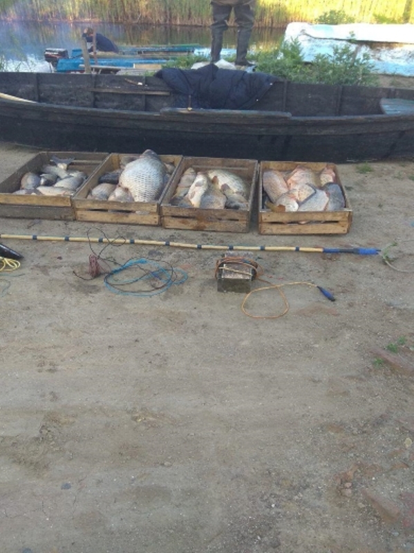 На озере Кугурлуй браконьеры с помощью электротока добыли почти 84 кг рыбы