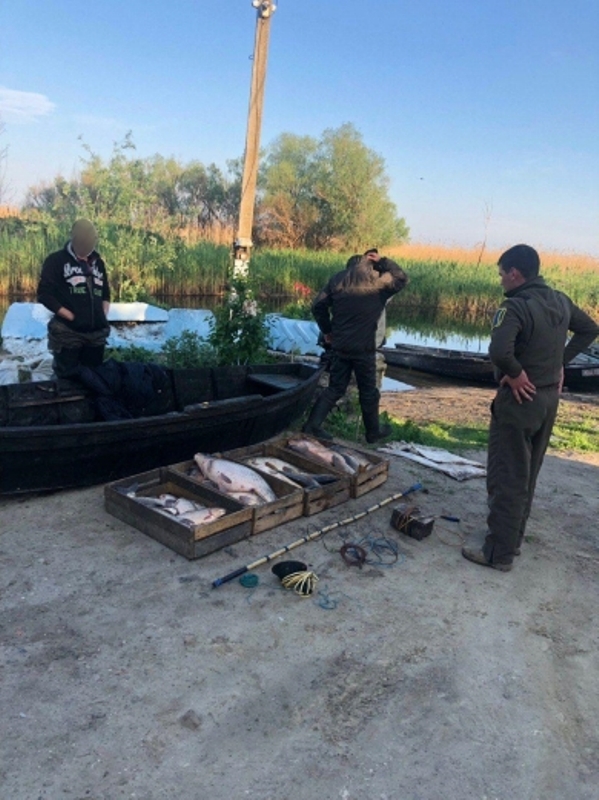 На озере Кугурлуй браконьеры с помощью электротока добыли почти 84 кг рыбы.