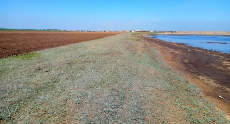 Из-за бездеятельности властей и полиции в Татарбунарском р-не распахивают остатки прибрежных полос, лишая птиц мест гнездования
