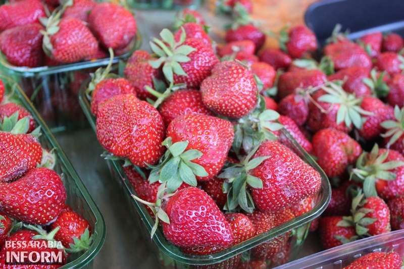 В Измаиле стартовал сезон клубники: обзор цен на любимую весеннюю ягоду.