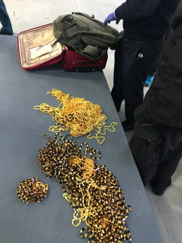 В пункте пропуска "Паланка" пограничники обнаружили более 3 кг незарегистрированного янтаря в багаже у иностранца