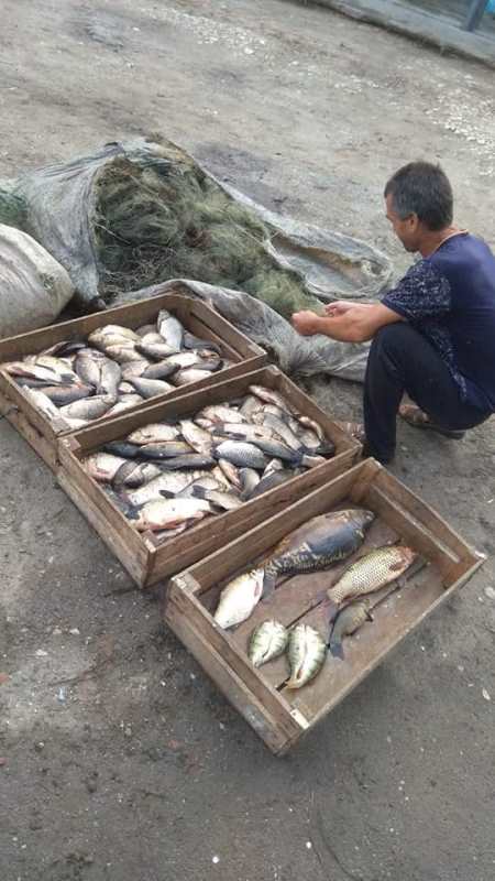 На озере Ялпуг был задержан браконьер с 20 сетями и почти 40-килограммовым уловом