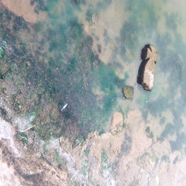 Американская кинорежиссер сняла документальный фильм об экокатастрофе на озере Сасык
