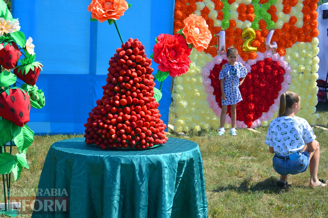 Клубничная столица Украины - село Лески - с размахом отпраздновала День села и окончание посевной