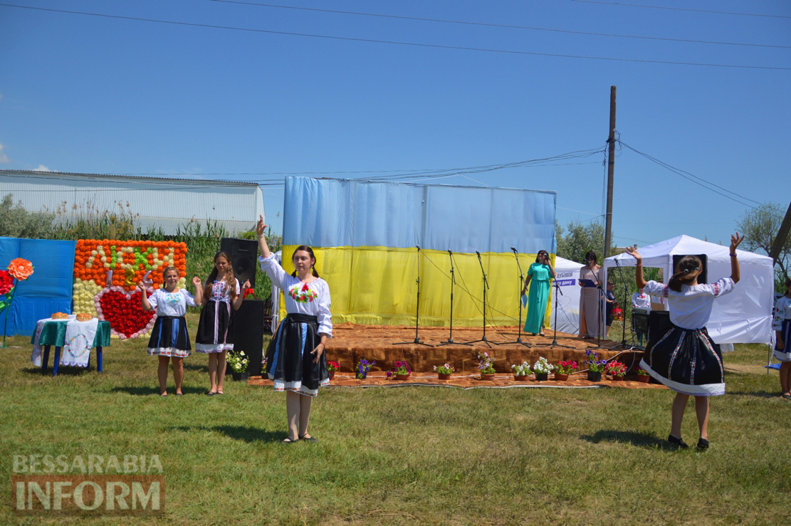 Клубничная столица Украины – село Лески – с размахом отпраздновала День села и окончание посевной.