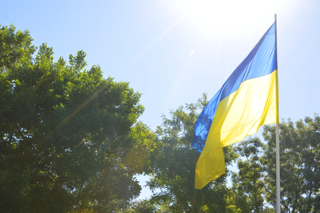 В Килии ко Дню Конституции Украины провели акцию "Объединяемся"