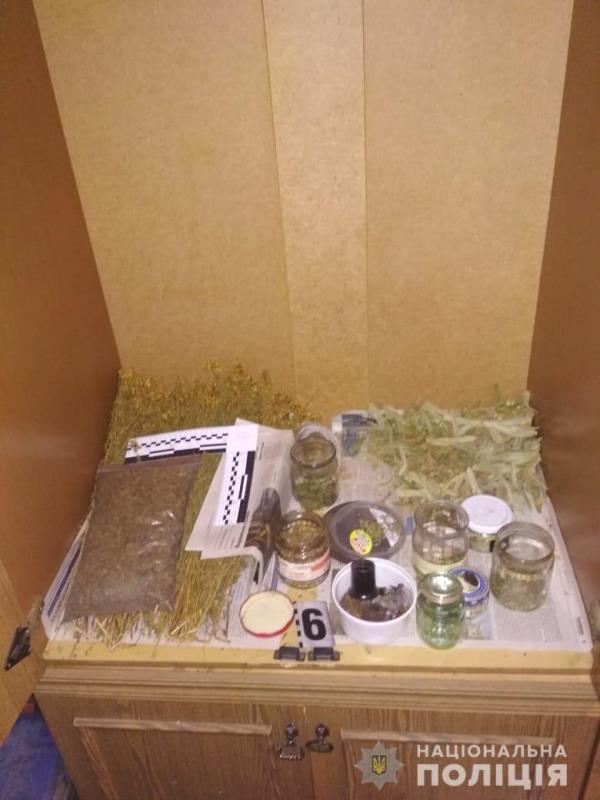 Каннабис, кусты конопли, кастеты и нож: в Тарутинском районе местный житель выращивал наркотики и хранил оружие