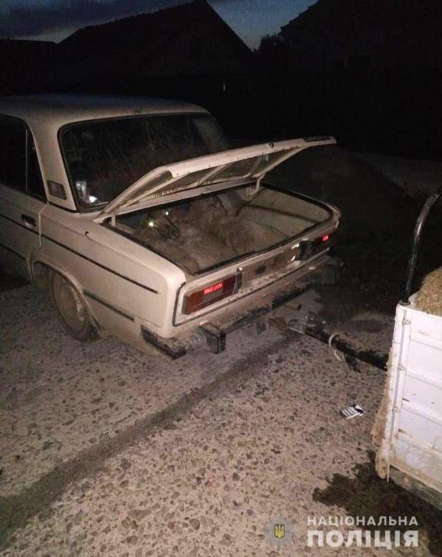В Измаильском районе полиция задержала похитителей отары овец, которые пытались вывести их в багажнике автомобиля