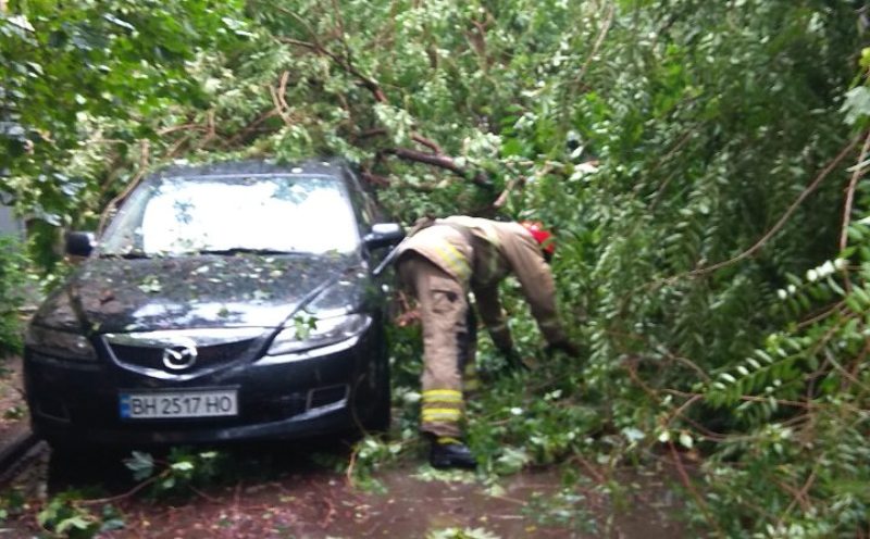 В Измаиле в результате непогоды дерево рухнуло на автомобиль