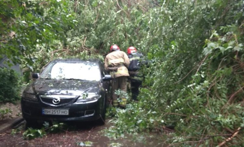 В Измаиле в результате непогоды дерево рухнуло на автомобиль