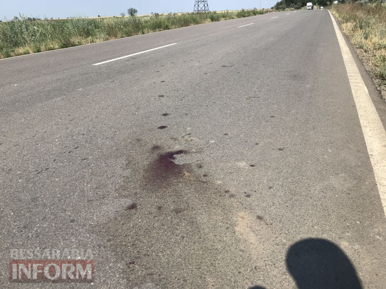 Под Приморским Килийского района мопедист попал под колеса управляемого гражданином Молдавии "Форда"