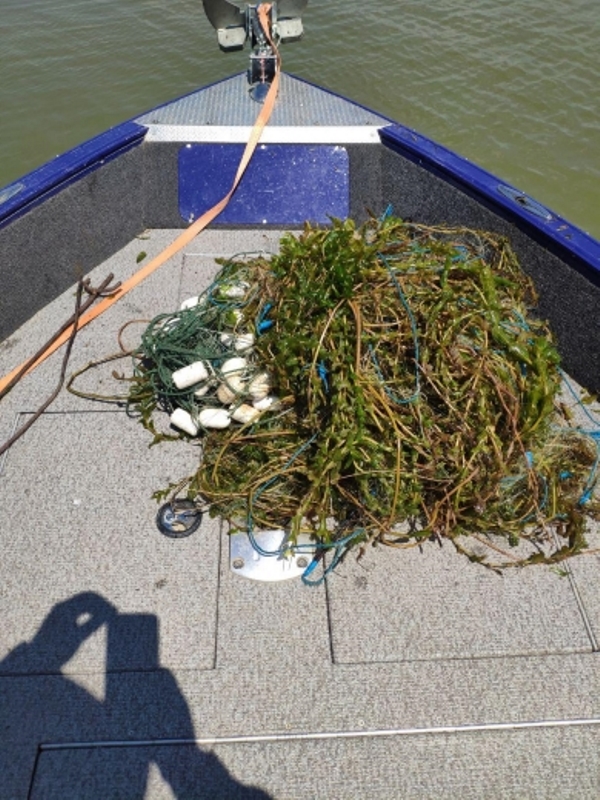 На реке Днестр и Днестровском лимане провели рыбоохранный рейд и изъяли 560 метров сетей