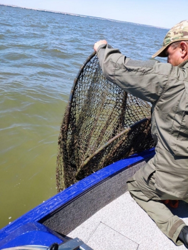 На реке Днестр и Днестровском лимане провели рыбоохранный рейд и изъяли 560 метров сетей