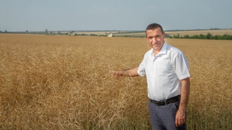 Банкрот: село Плахтеевка Саратского района может остаться без базового хозяйства