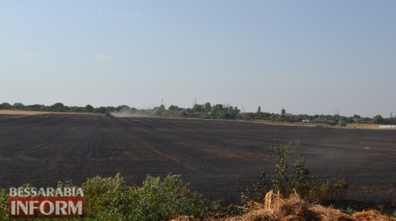 На окраине Белгорода-Днестровского горело огромное поле со стерней: пламя чуть не добралось до жилых домов
