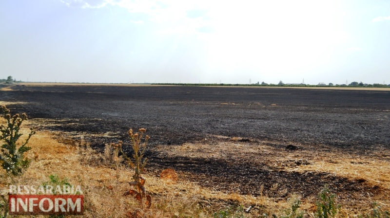 На окраине Белгорода-Днестровского горело огромное поле со стерней: пламя едва не добралось до жилых домов