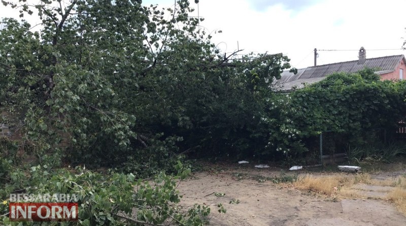 Последствия стихии в Аккермане: в микрорайоне "Совхоз" огромный тополь "накрыл" двор и повредил постройки людей