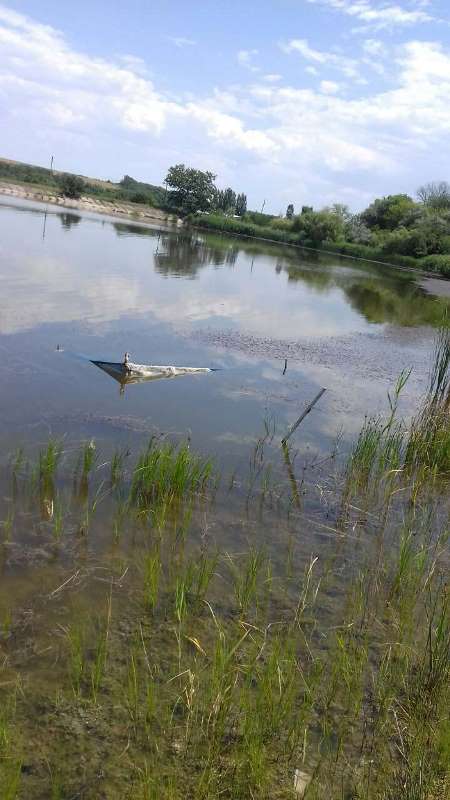 В Тарутинском районе вандалы разрушили попытку рыболовов-любителей восстановить рыбный ресурс местного пруда