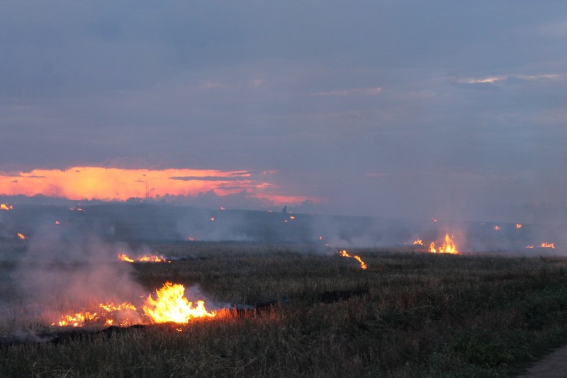 В Татарбунарском районе огонь охватил поле на берегу озера Сасык (фотофакт)