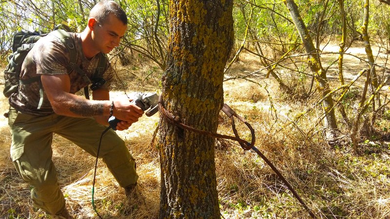 Незаконный захват леса: администрация НПП "Тузловские лиманы" борется с браконьерами-"предпринимателями"