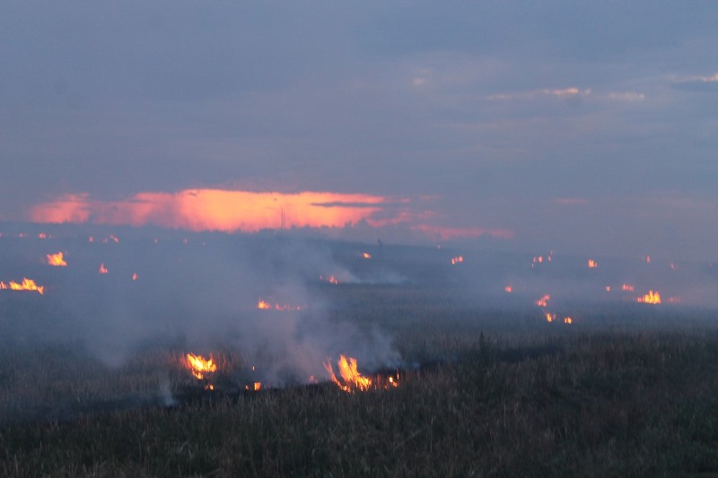 В Татарбунарском районе огонь охватил поле на берегу озера Сасык (фотофакт)