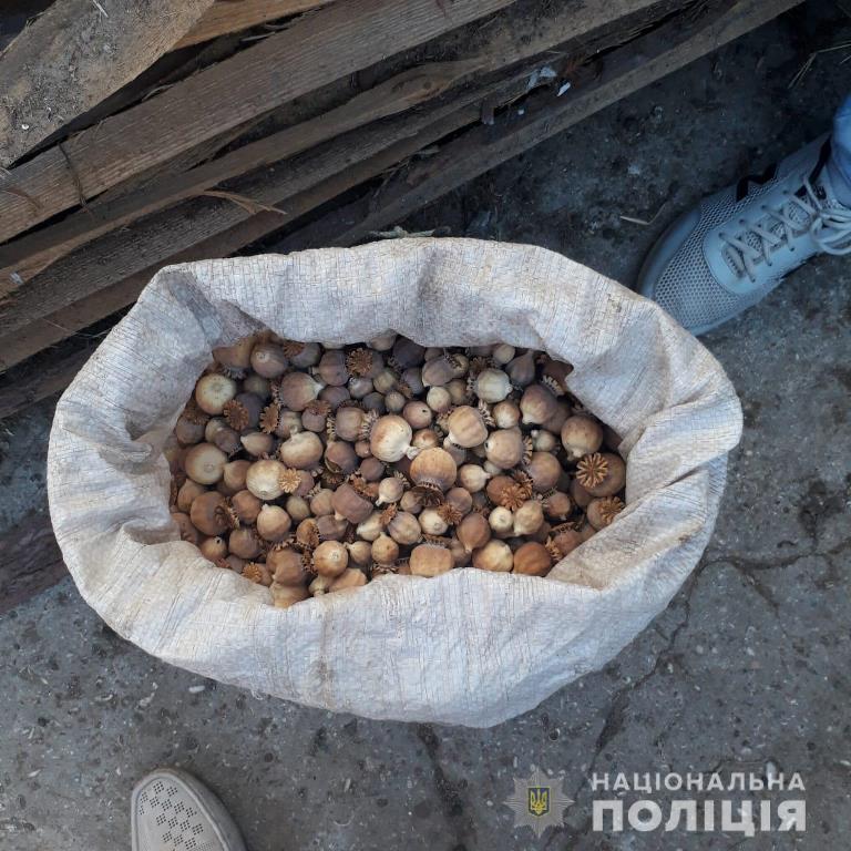 В селе Белгород-Днестровского района пенсионер вырастил более ста кустов мака и хранил около трех килограммов маковой соломки