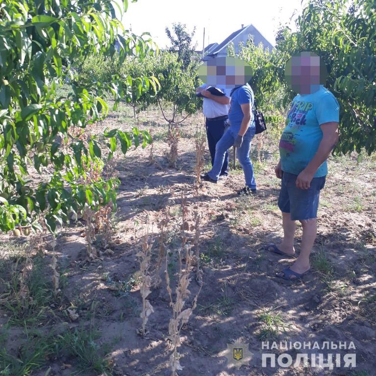 В селе Белгород-Днестровского района пенсионер вырастил более ста кустов мака и хранил около трех килограммов маковой соломки.
