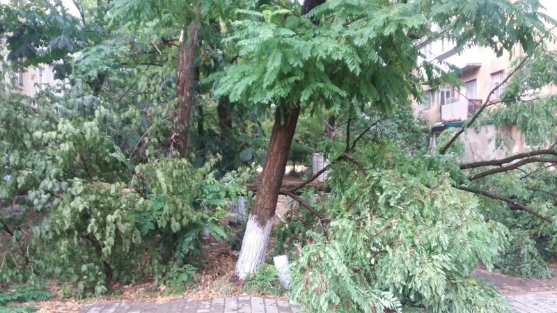 Непогода в Аккермане: поваленные деревья, рухнувшие на дорогу ветки и оборванные провода