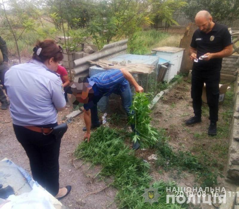 В Килийском районе во время спецоперации полиция разоблачила очередного "наркоагрария"