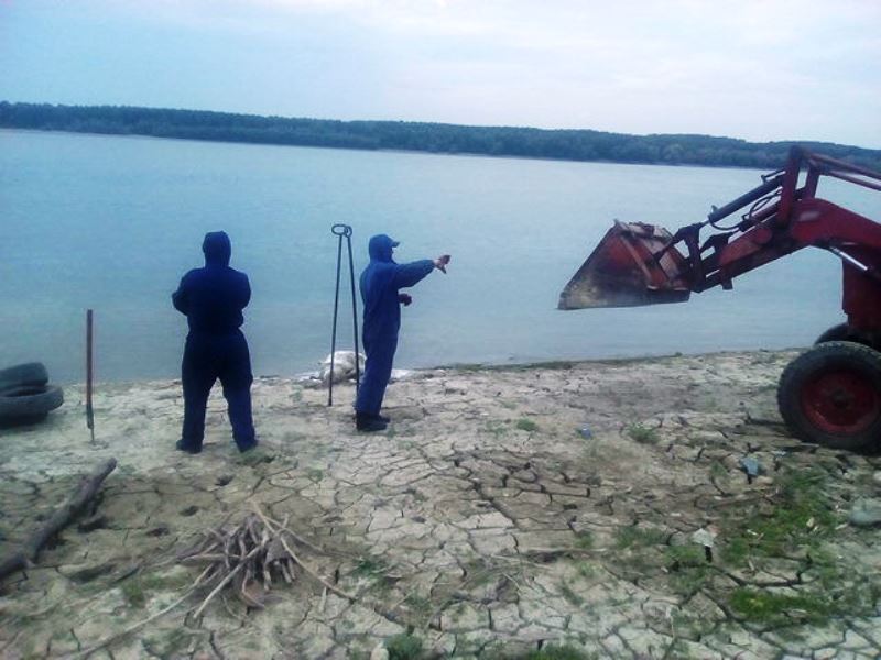 Воды Дуная выбрасывают на берег в районе Рени дохлых свиней - АЧС пока не подтвердили
