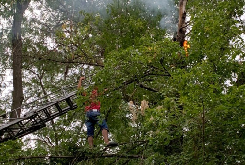 Как в Измаиле Нацгвардия, полиция, спасатели и мэр снимали с дерева мужчину