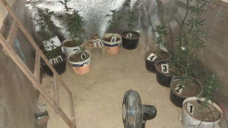 Спалился: во время пожара в Измаиле в подвале частного дома обнаружили наркоплантацию