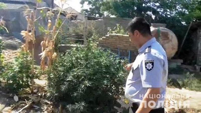 В Ренийском районе выращивающий наркотики мужчина при виде полицейских устроил костер из конопли