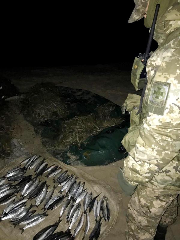 На озере Бурнас в Татарбунарском районе поймали двух браконьеров с уловом кефали на 48 тысяч гривен