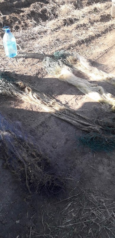 На озере Бурнас в Татарбунарском районе браконьер ловил кефаль сетками и нанес ущерб государству на почти 19 тысяч гривен