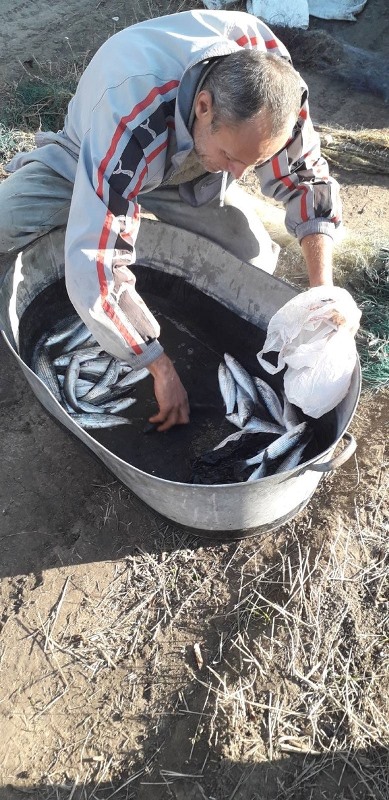 На озере Бурнас в Татарбунарском районе браконьер ловил кефаль сетями и нанес ущерб государству на почти 19 тысяч гривен.
