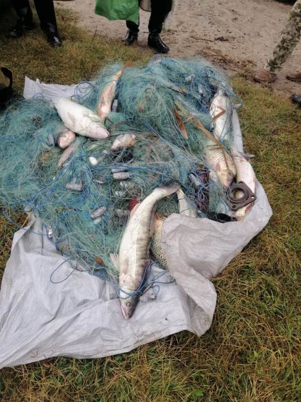 На озере Катлабух пограничники совместно с полицией задержали браконьеров с уловом на 28 тысяч гривен