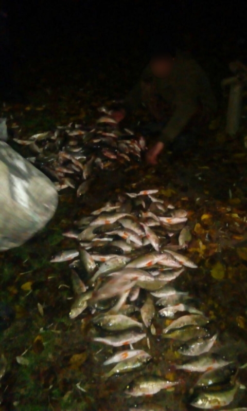 В Болградском районе на озере Ялпуг поймали браконьеров - в 20 сетках обнаружили улов почти на 15 тысяч гривен