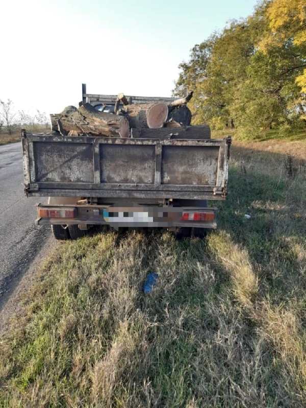 На трассе Измаил-Болград полицейские обнаружили очередного любителя вырубки лесополосы
