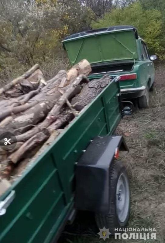 В Ренийском районе полиция обнаружила четырех любителей незаконной вырубки лесополосы