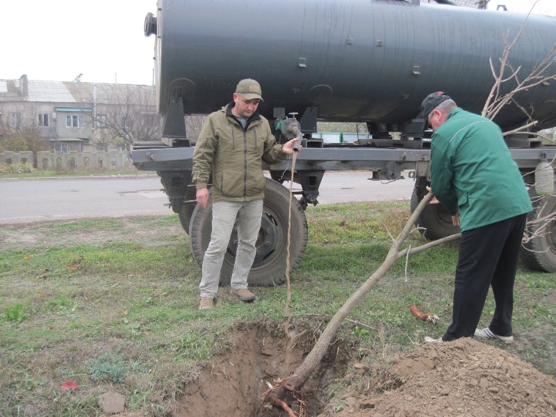 Татарбунарские чиновники провели субботник по высадке деревьев в городской зоне отдыха.