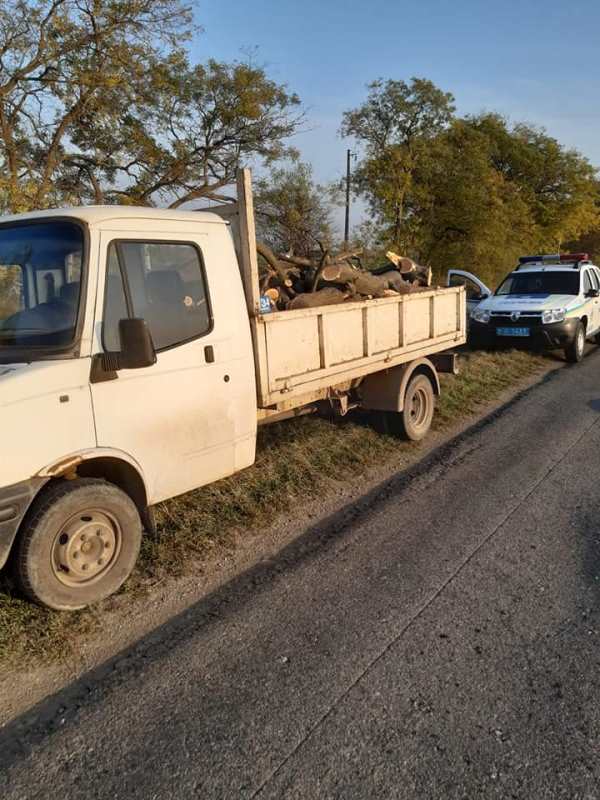 На трассе Измаил-Болград полицейские обнаружили очередного любителя вырубки лесополосы