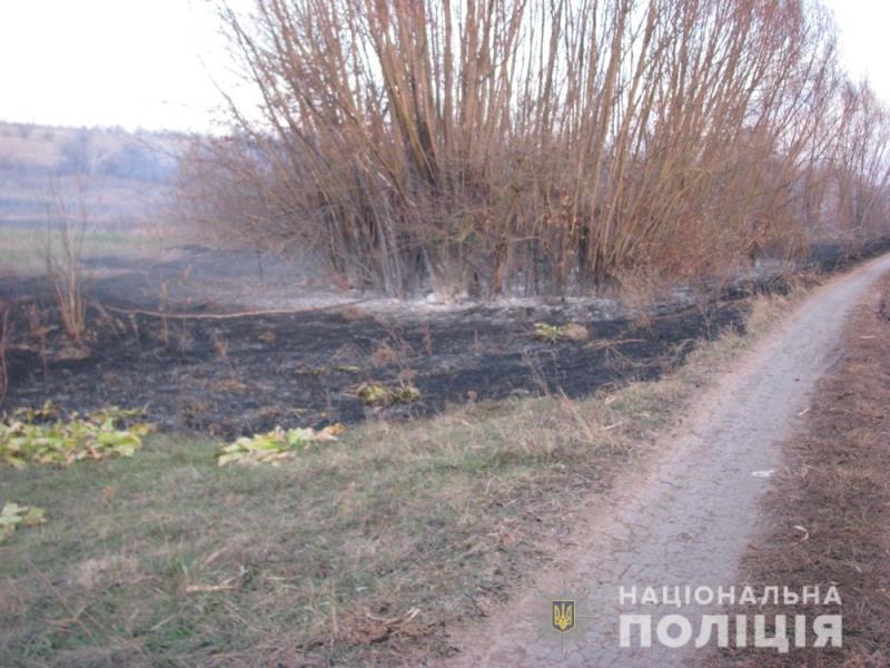 В Одесской области из-за сжигания опавших листьев и сухой травы сгорел дом и чуть не пострадал скот.