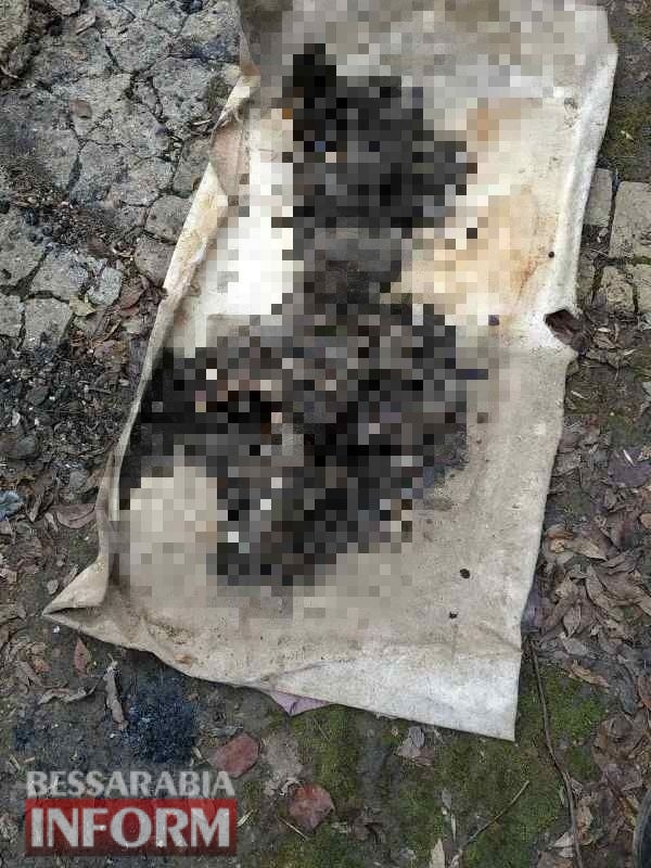 В Белгород-Днестровском районе на пожарище нашли обгоревшее тело хозяина дома