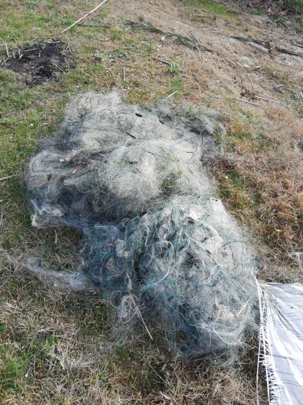 На канале Репида пограничники Измаильского отряда задержали браконьера с уловом на почти 21 тысячу гривен