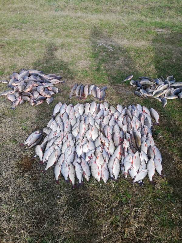 На канале Репида пограничники Измаильского отряда задержали браконьера с уловом на почти 21 тысячу гривен