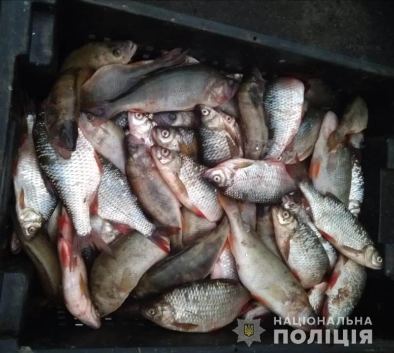 В Ренийском районе расследуют более 20 случаев браконьерства с ущербом на сумму почти 200 тысяч гривен