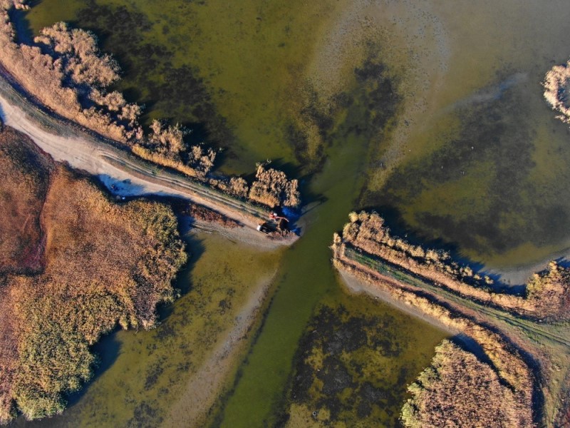 Бессарабия: реки Когильник, Кагач и Сарата отныне свободные и природные