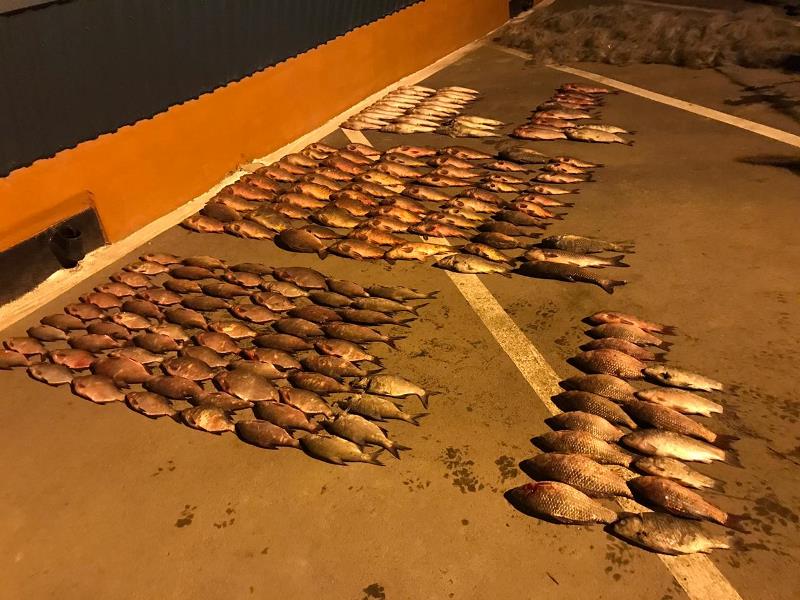 В Ренийском районе на озере Кагул пограничники задержали браконьеров с большим выловом рыбы