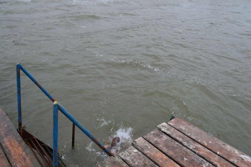 Аккерманцы отметили Крещение окунаясь в воды Днестровского лимана (фоторепортаж)